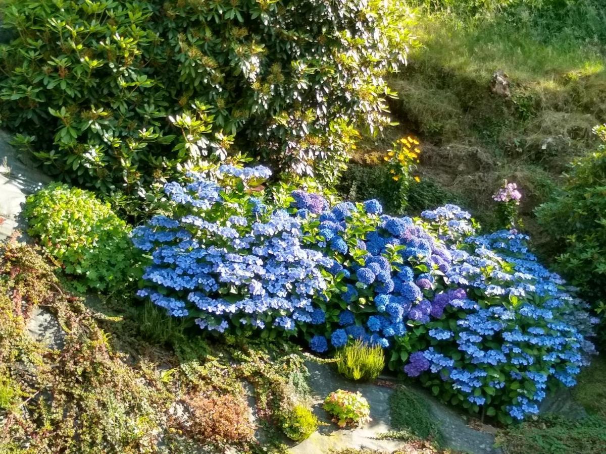 Les Hortensias La Poultiere المظهر الخارجي الصورة